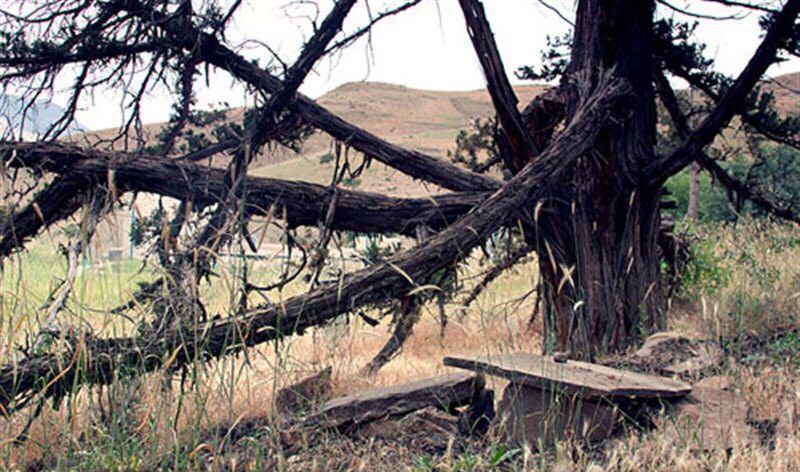 مجله گردشگری گورستان تاریخی و اسرار آمیز روستای شمس آباد خلخال